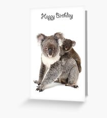A koala Happy Birthday 1P Greeting Card