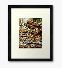 Decayed Framed Print