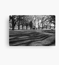 Spring in Gostwyck Canvas Print