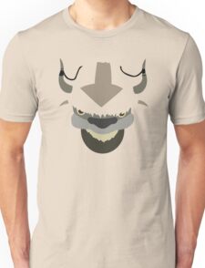 avatar the last airbender appa shirt