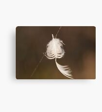 Feather Weight Canvas Print
