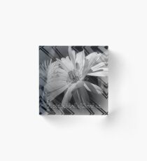 Florals Acrylic Block
