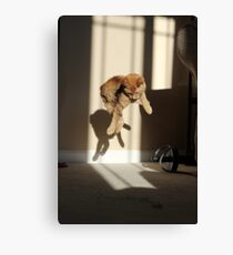 Ruh roh Canvas Print