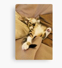 Stress Canvas Print