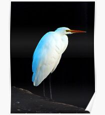White Bird Poster