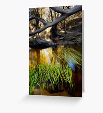 Complexity at Billimina Creek Greeting Card