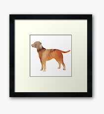 Dog Framed Print