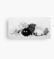 Persian cats Canvas Print