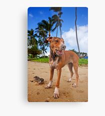 All in a day’s play Metal Print