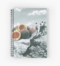 Fig dreams Spiral Notebook