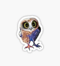 Owl Sticker