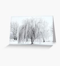 Winter Willow Greeting Card