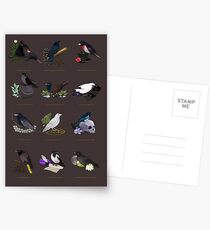 12 Birds of Magic Postcards
