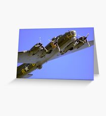 Sally B Greeting Card