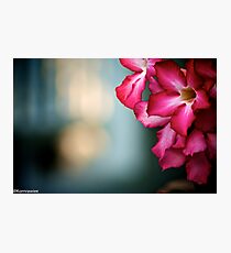 Happiness is...sometime waiting someone...Got 3 Featured Work Photographic Print