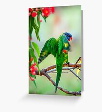 Just Stretching... Greeting Card