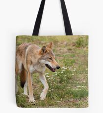 Wolf walking Tote Bag