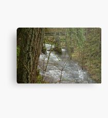 Through The Trees Metal Print
