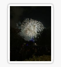 Fireworks Sticker