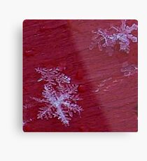 SNOWFLAKE Metal Print