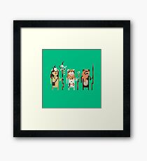 Tribal Leaders Framed Print
