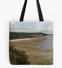 Eagles Nest Tote Bag