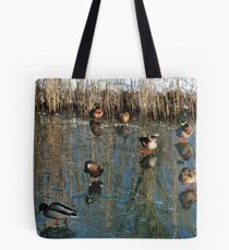 Walk on Water Tote Bag