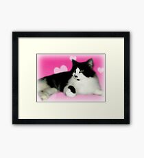 Softness Framed Print
