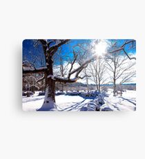 Pierce Metal Print