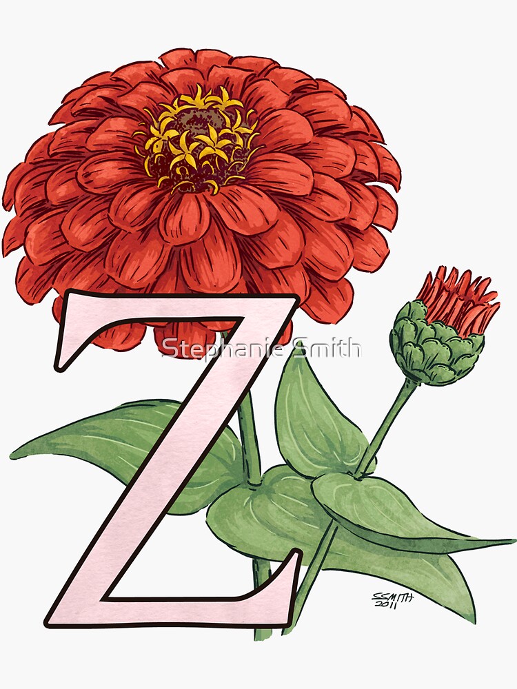 Z is for Zinnia floating by stephsmith