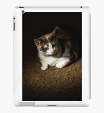cat iPad Case/Skin