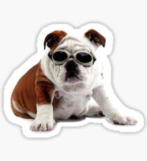 Bulldog in Sunglasses Print Sticker