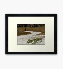 Healthy Framed Print