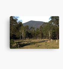 Mt Ewards Canvas Print