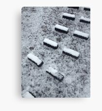 Lock footholds with snow Canvas Print