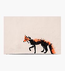 Fox Photographic Print