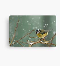snowstorm survivor Canvas Print