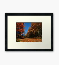 Copper walks Framed Print