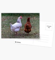 Free Range Postcards