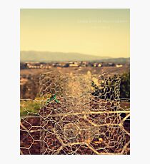 NEW Photographic Print