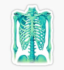 Skeleton Sticker