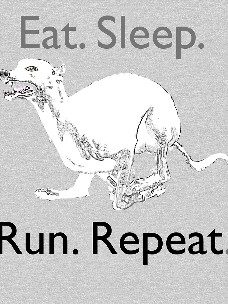 Eat Sleep Run Repeat T Shirt By Jetska Redbubble