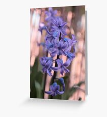 Flowers Greeting Card