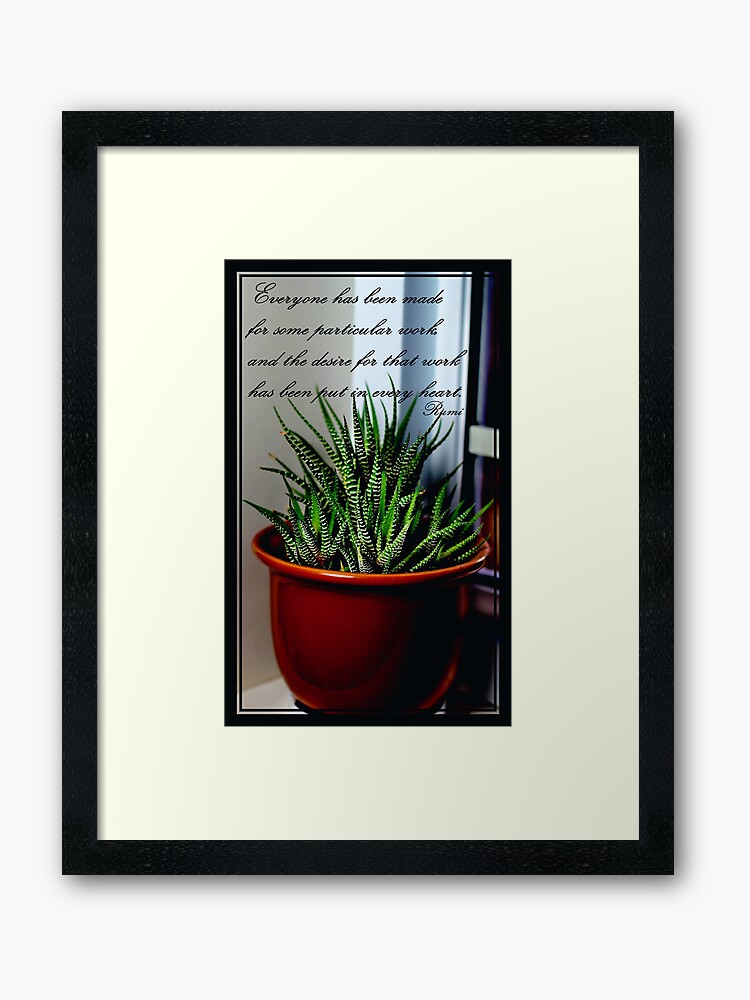 Rumi Quote Zebra Cactus Succulent Framed Art Print - 