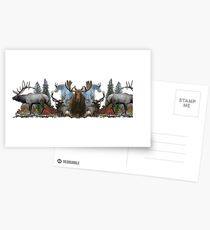North American Wildlife Postcards