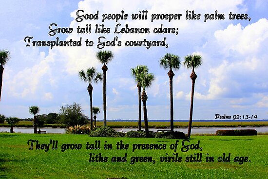 psalms-92-13-14-posters-by-paula-tohline-calhoun-redbubble