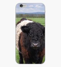 Belted Galloway iPhone Case