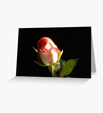 Rose Greeting Card