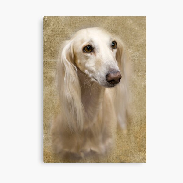 Look At Those Eyes Canvas Print