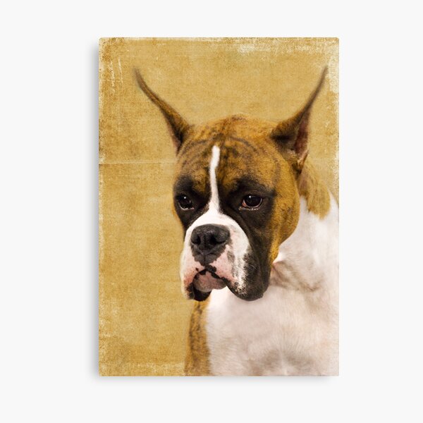 Those Ears Canvas Print